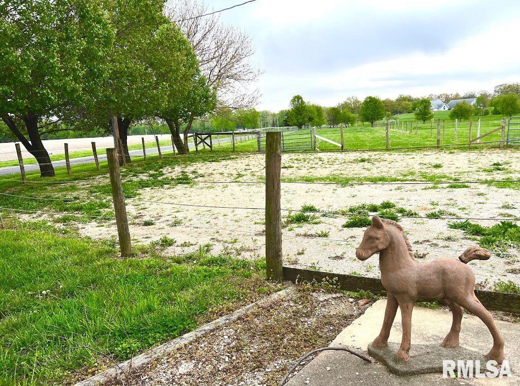 3287 County Road 2 3/4 A Springfield, IL 62712 - Photo 6 of 53