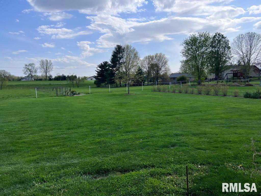 3287 County Road 2 3/4 A Springfield, IL 62712 - Photo 7 of 53