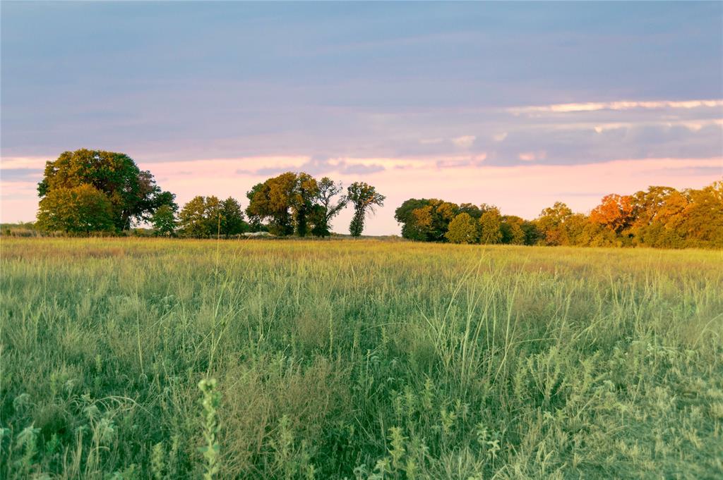 Tbd Tbd Cr170 Gorman Tx