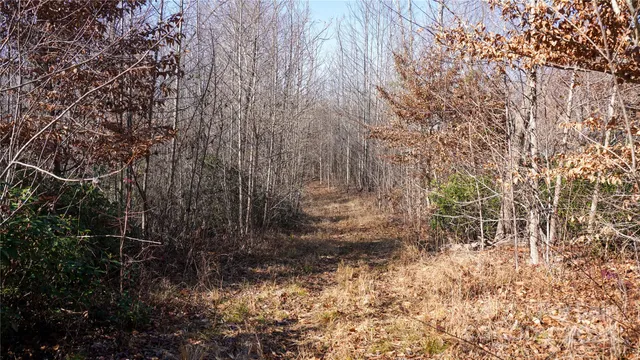 a backyard of a house