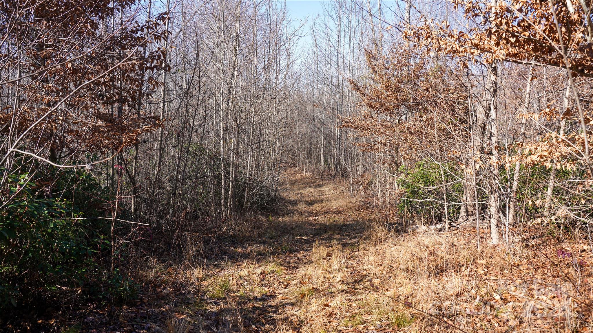 522 Whitworth Road Clover, SC 29710 - Photo 12 of 35 a view of backyard with green space