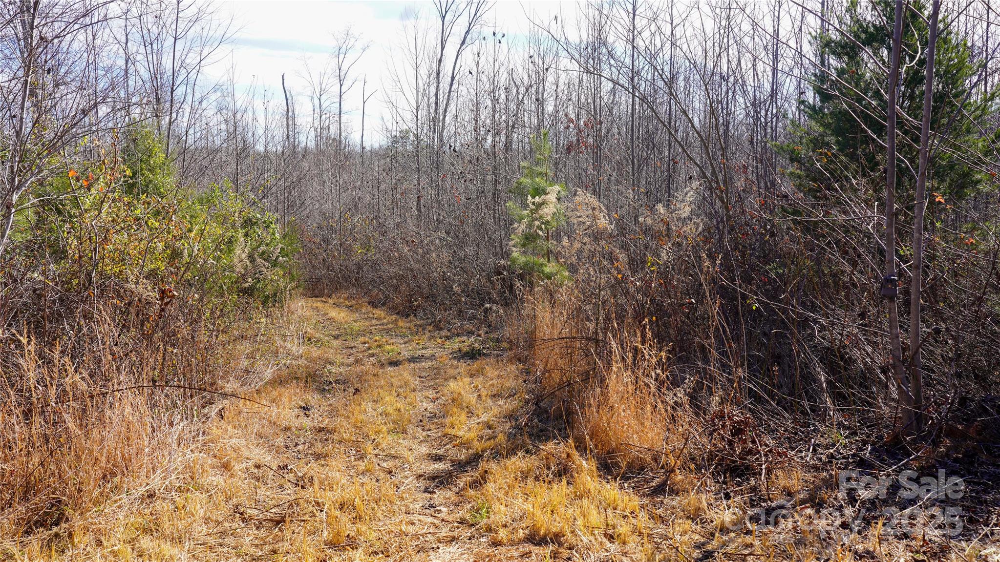 522 Whitworth Road Clover, SC 29710 - Photo 14 of 35 a backyard of a house