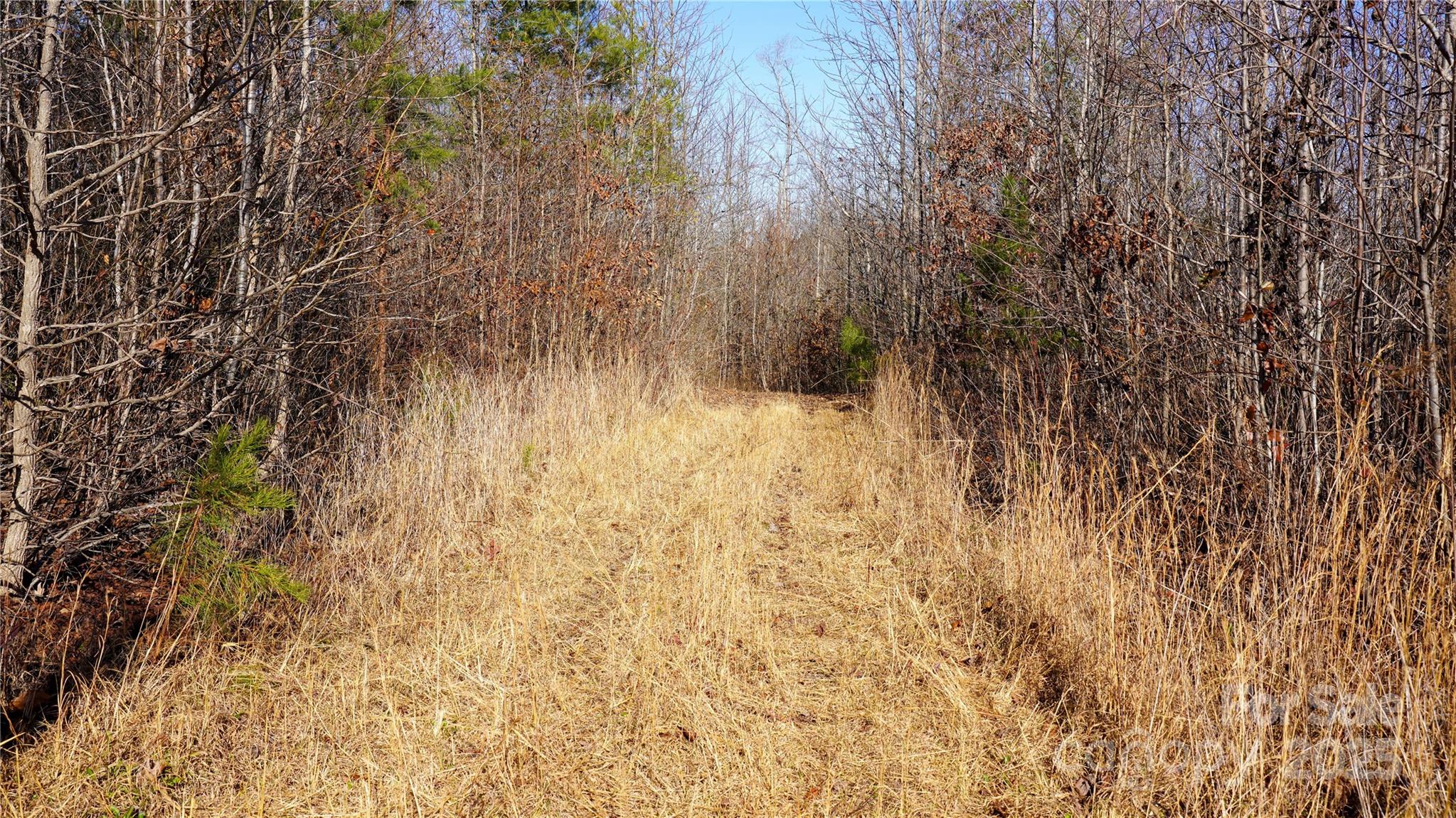 522 Whitworth Road Clover, SC 29710 - Photo 15 of 35 a view of small space