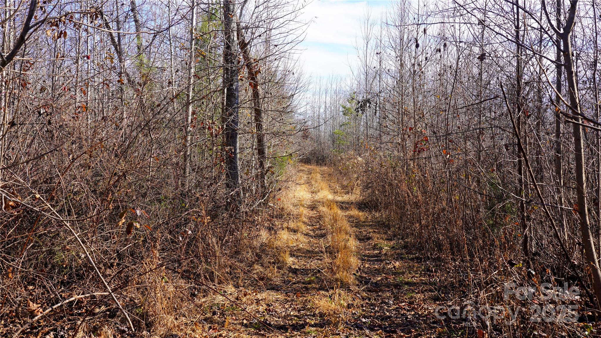 522 Whitworth Road Clover, SC 29710 - Photo 16 of 35 a view of a yard
