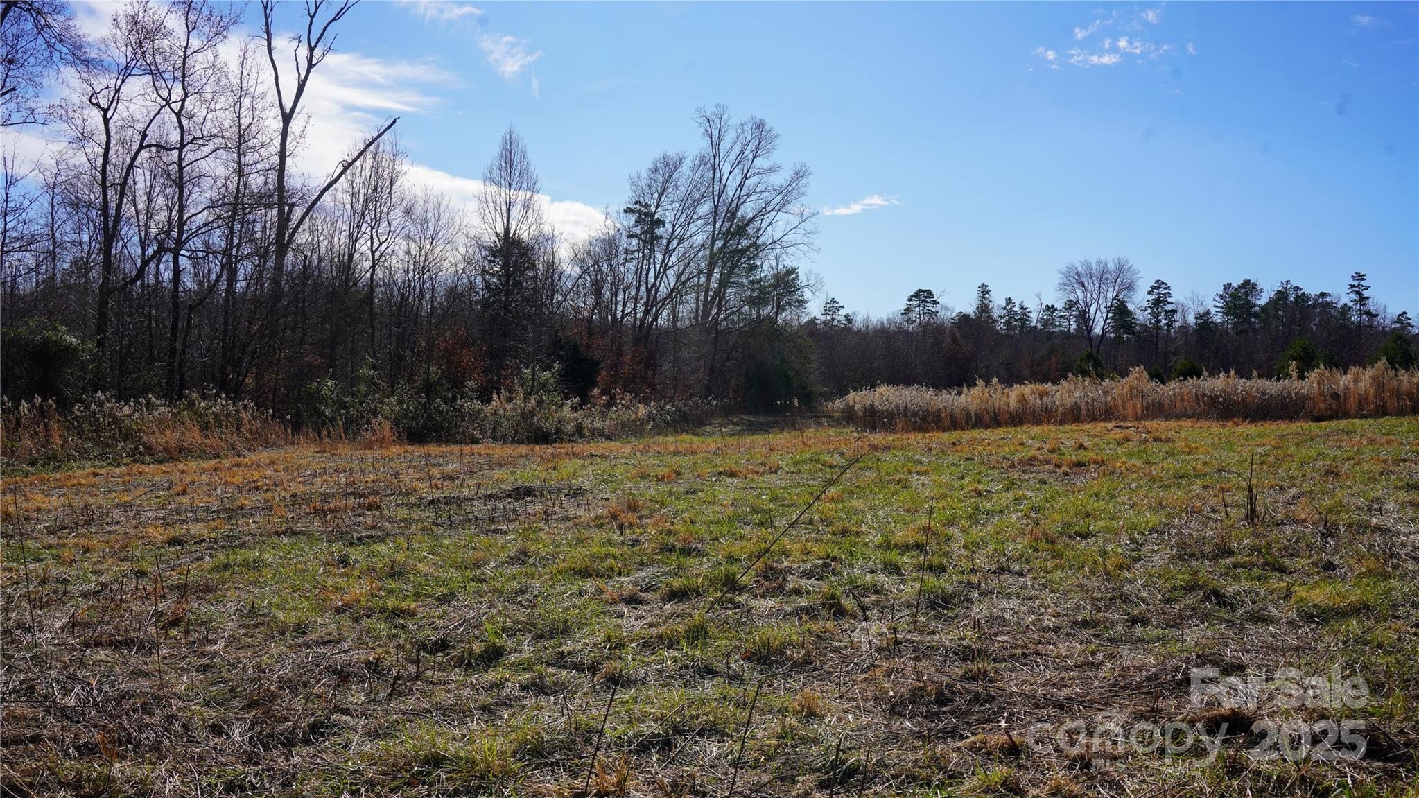 522 Whitworth Road Clover, SC 29710 - Photo 18 of 35 a view of outdoor space and yard