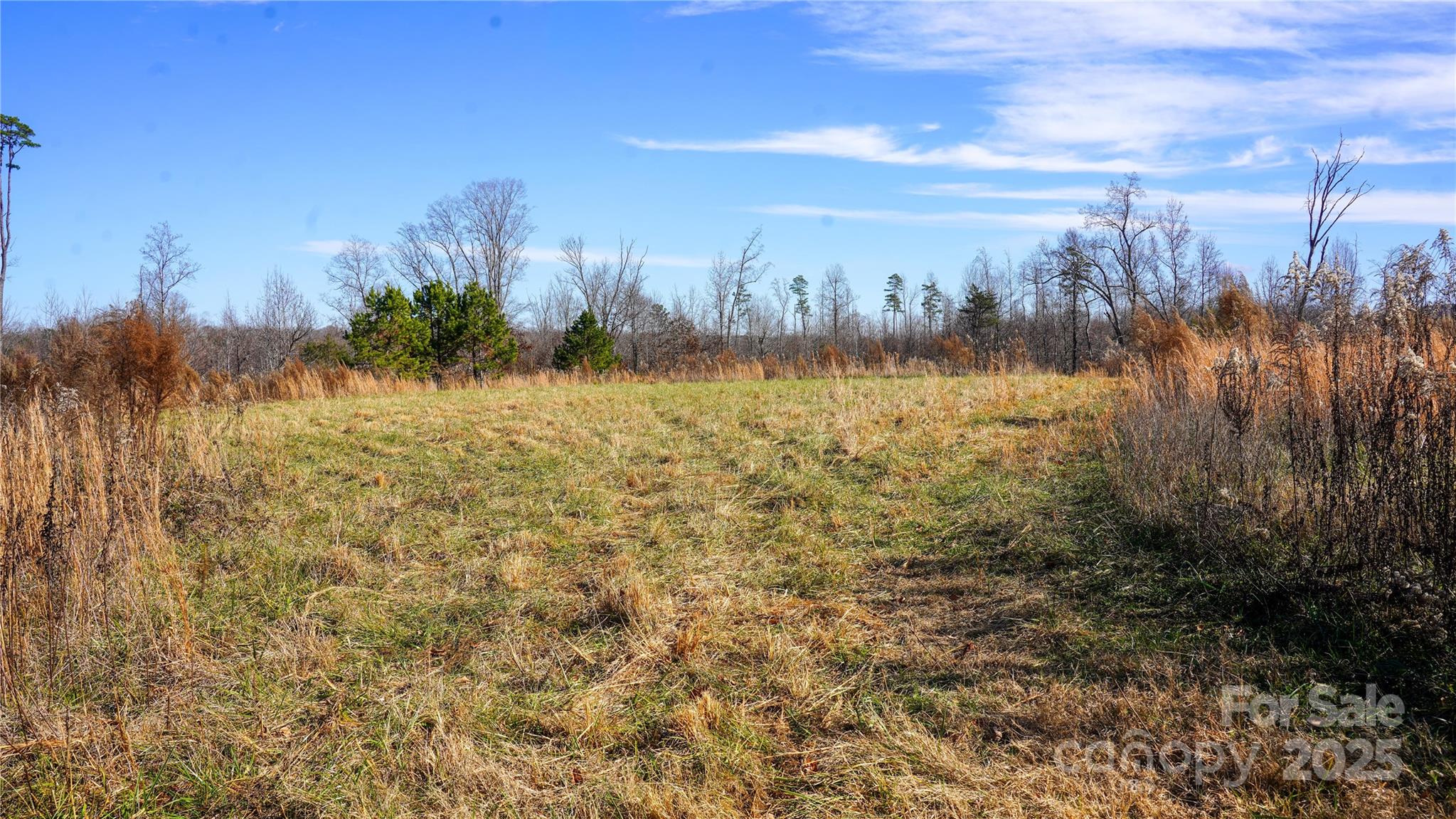 522 Whitworth Road Clover, SC 29710 - Photo 20 of 35