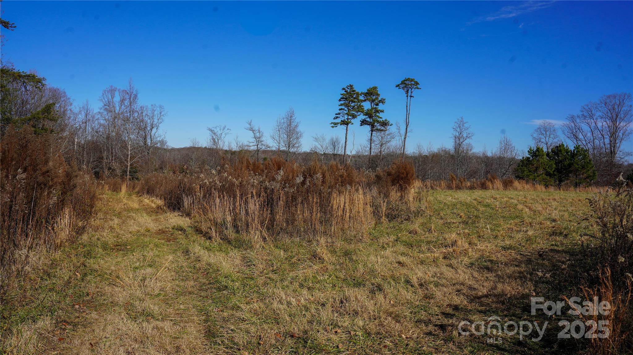 522 Whitworth Road Clover, SC 29710 - Photo 21 of 35 a view of a yard