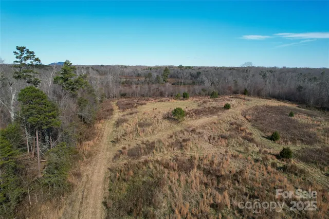 a view of a dry yard with green space