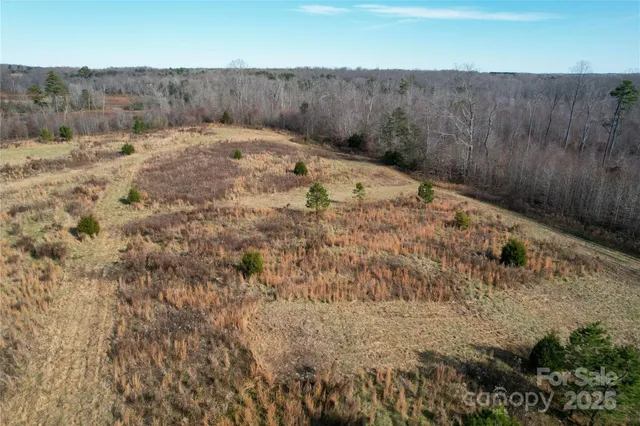 a view of a dry yard