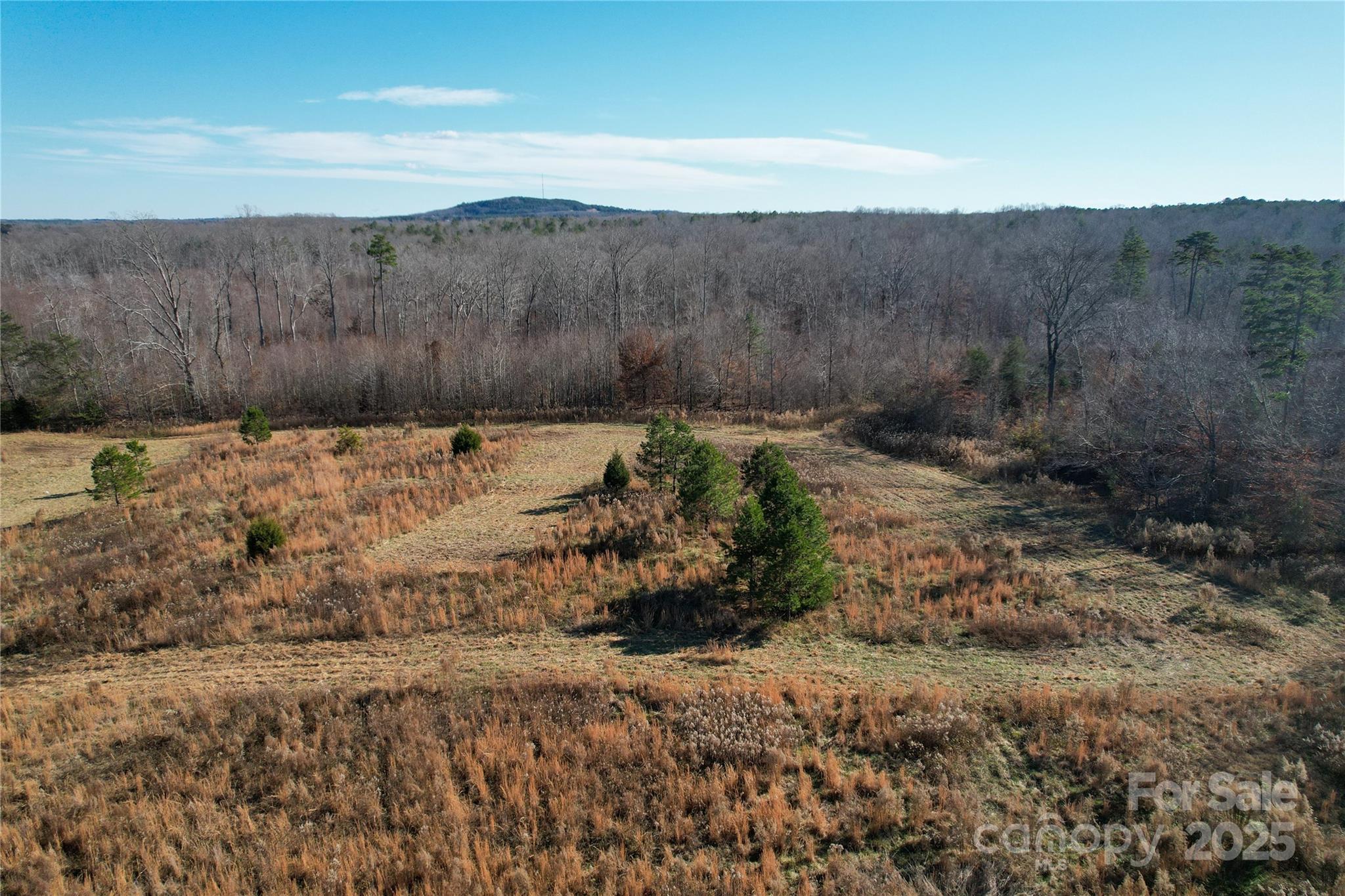 522 Whitworth Road Clover, SC 29710 - Photo 24 of 35 a view of a backyard of a house