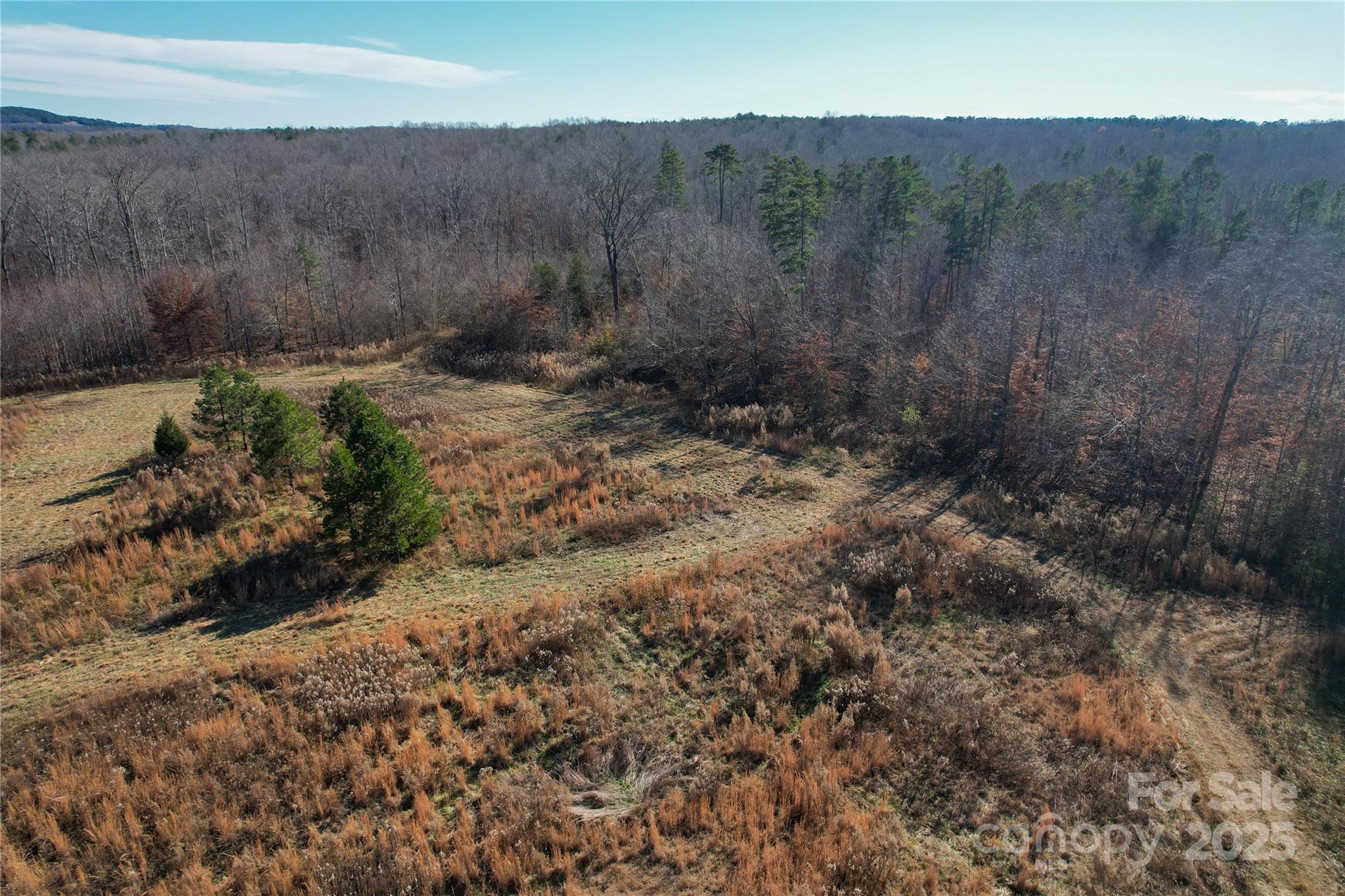 522 Whitworth Road Clover, SC 29710 - Photo 25 of 35 a view of a dry yard with green space