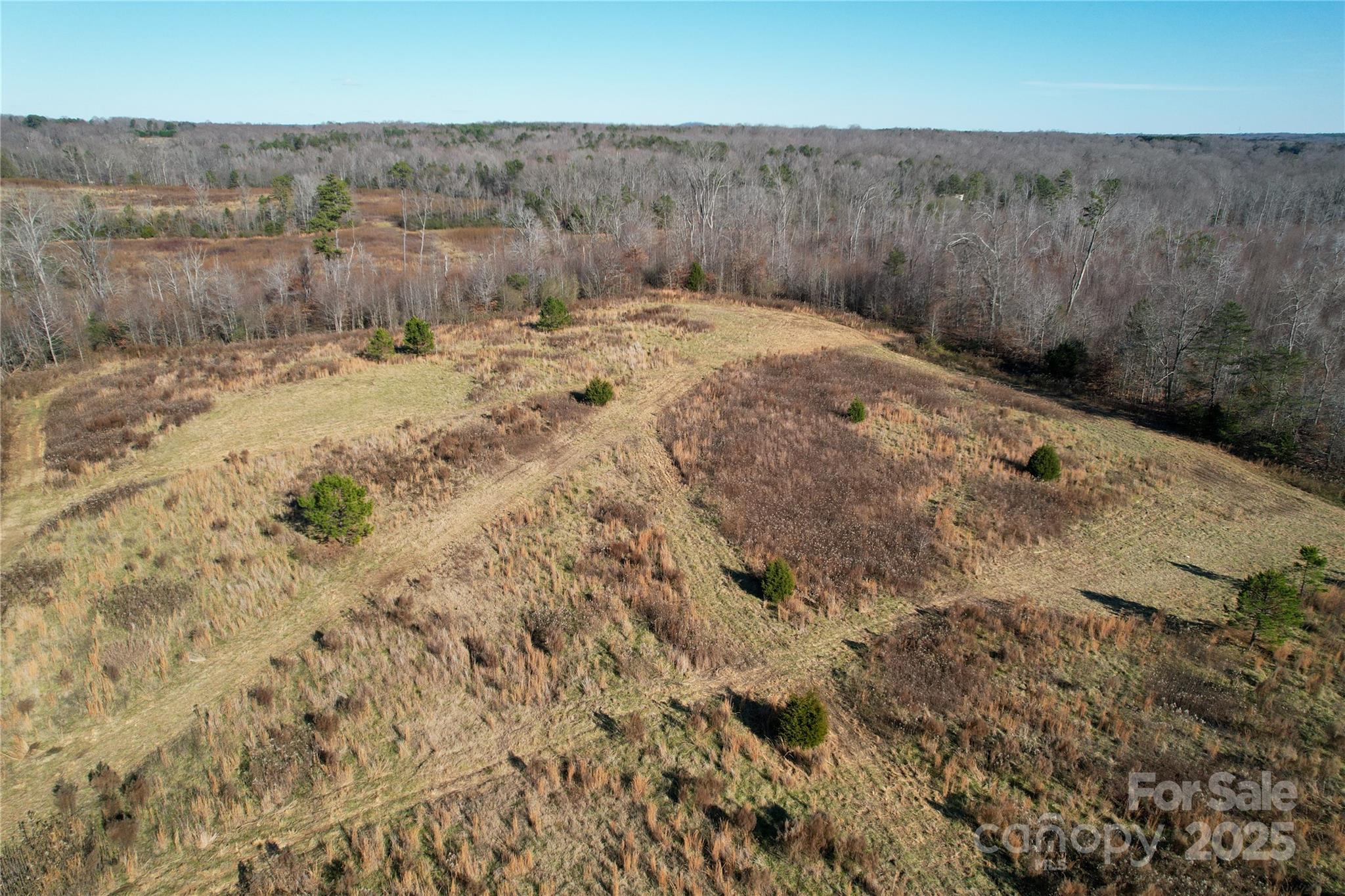 522 Whitworth Road Clover, SC 29710 - Photo 26 of 35 a view of a dry yard
