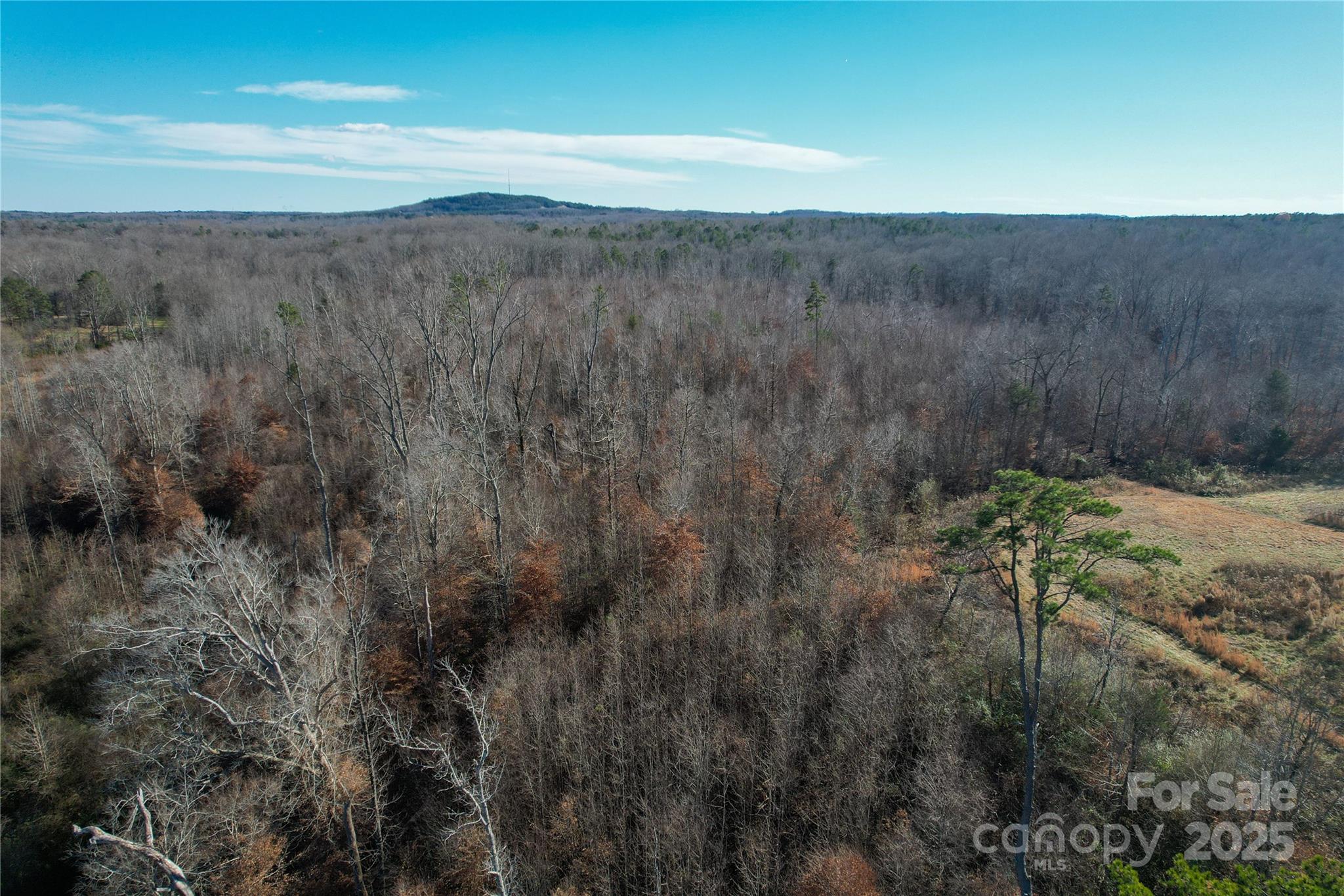 522 Whitworth Road Clover, SC 29710 - Photo 27 of 35 a view of a dry yard with green space
