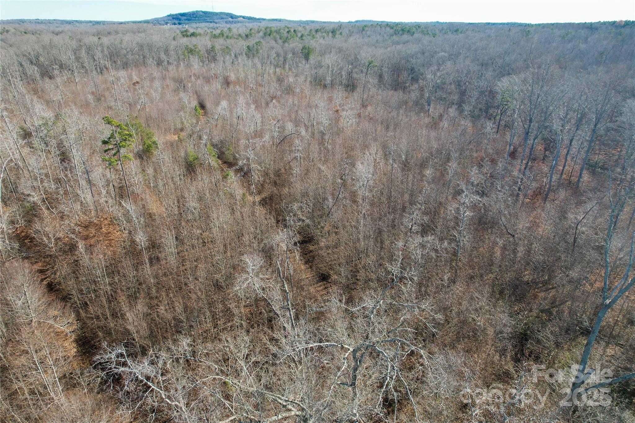 522 Whitworth Road Clover, SC 29710 - Photo 28 of 35 a view of a dry field