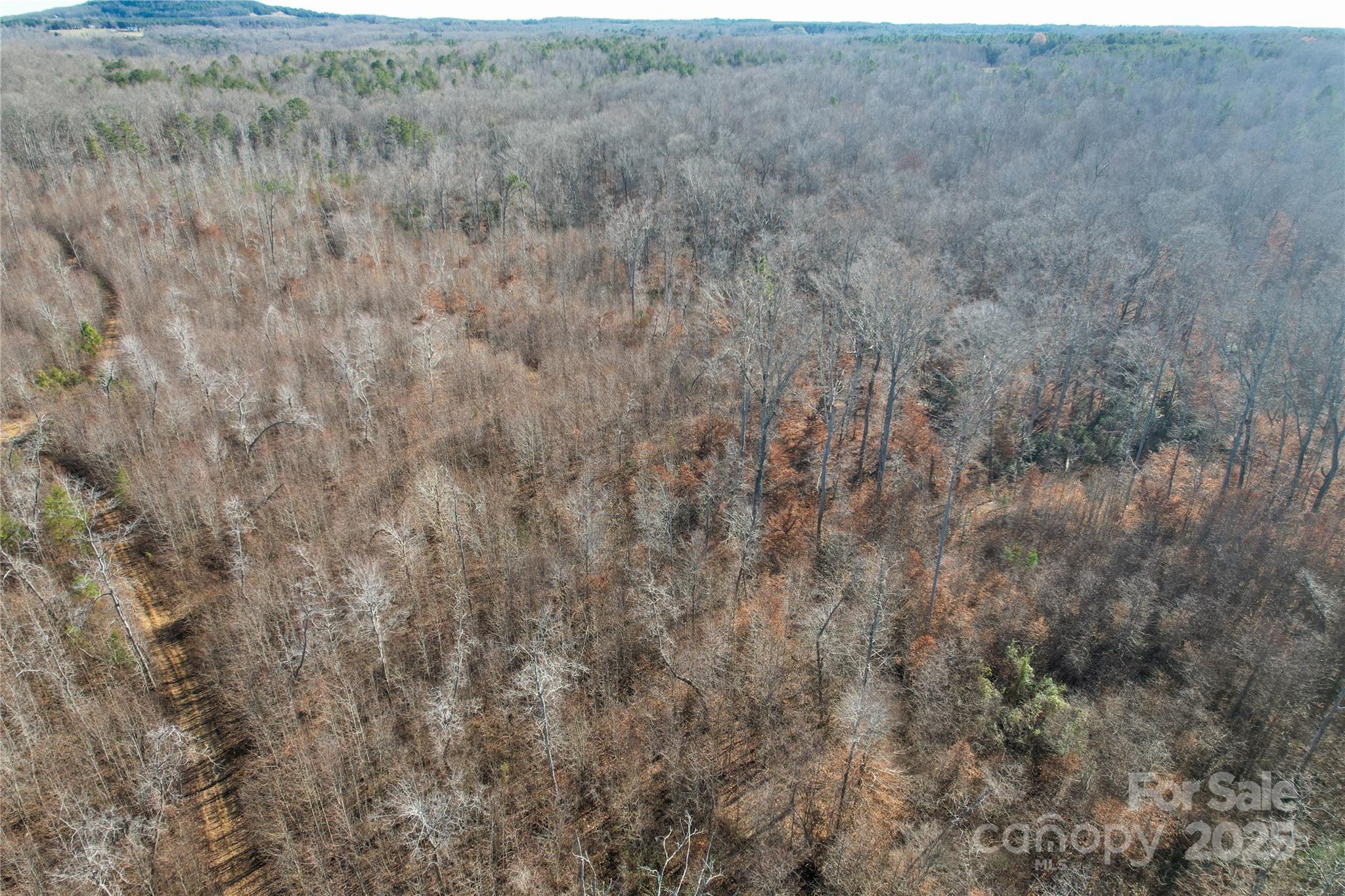 522 Whitworth Road Clover, SC 29710 - Photo 29 of 35 a view of a dry field