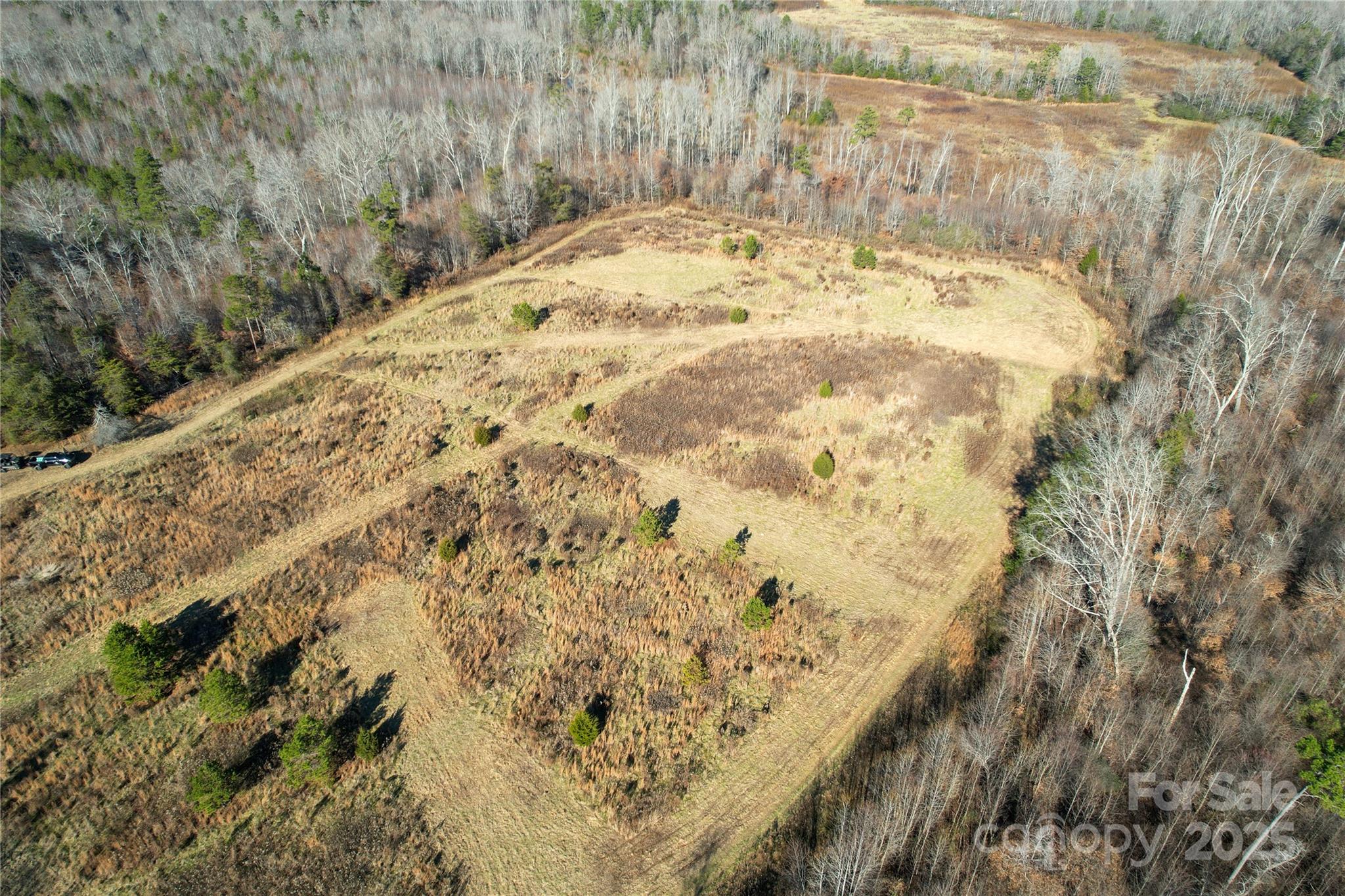 522 Whitworth Road Clover, SC 29710 - Photo 30 of 35 a view of a yard with a trees