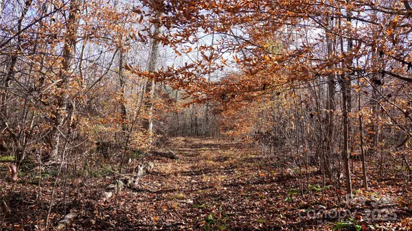 a view of a yard