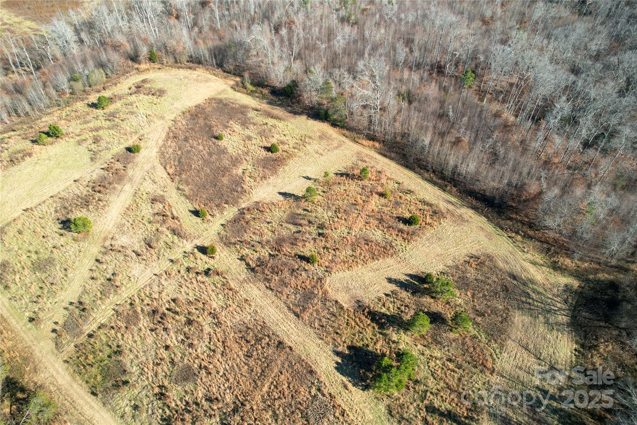522 Whitworth Road Clover, SC 29710 - Photo 31 of 35 a view of a dry yard with wooden fence