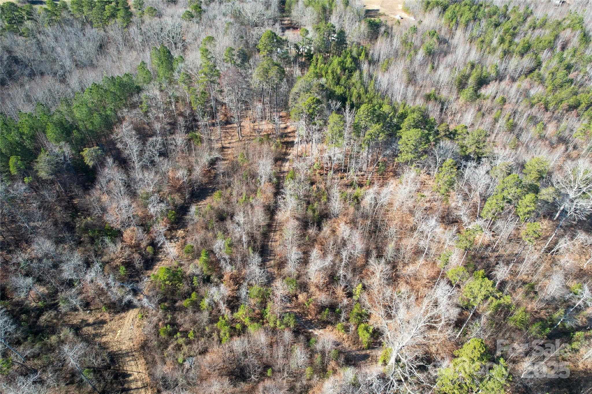 522 Whitworth Road Clover, SC 29710 - Photo 32 of 35 a view of a forest