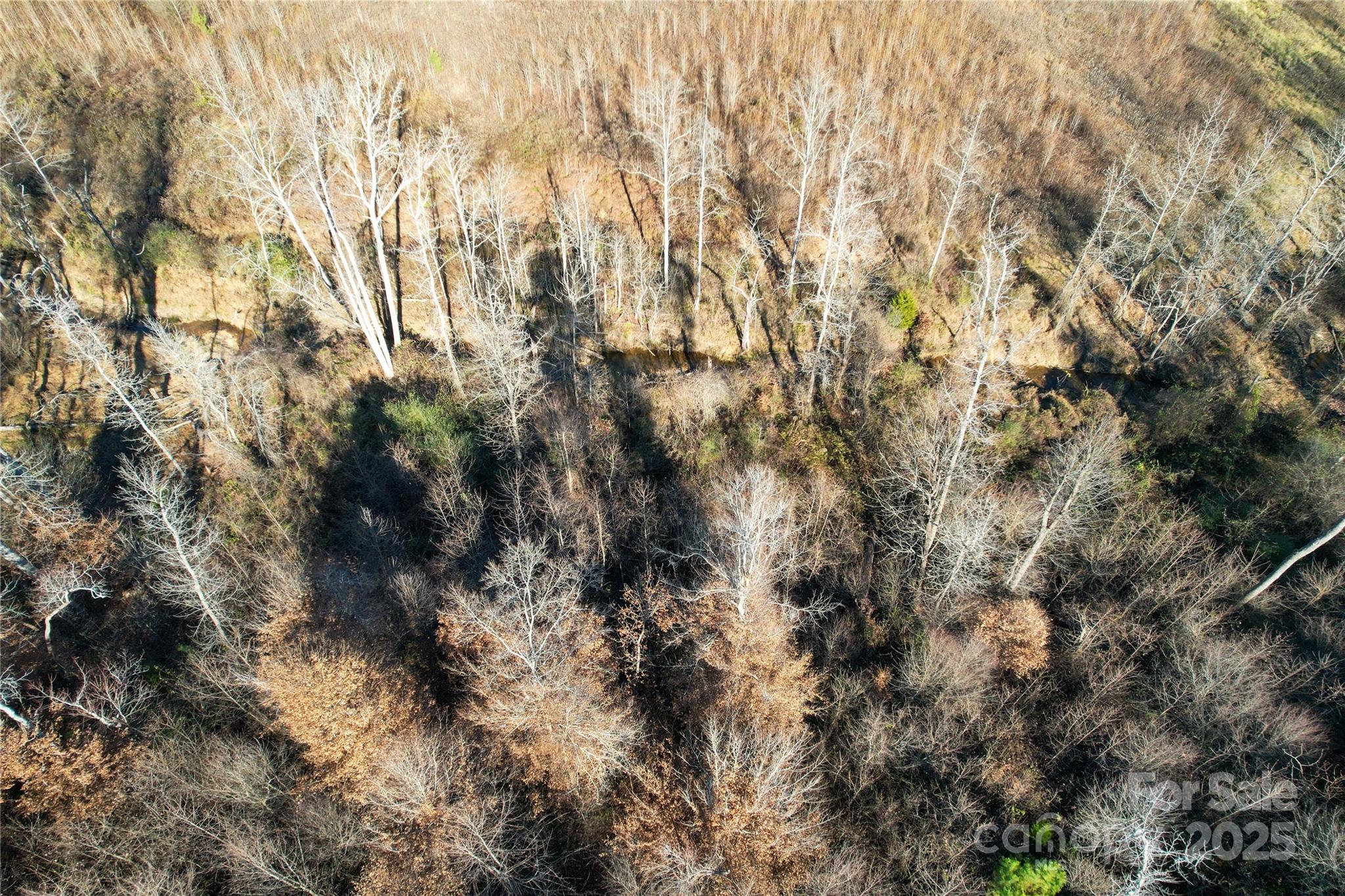 522 Whitworth Road Clover, SC 29710 - Photo 35 of 35 a view of a yard