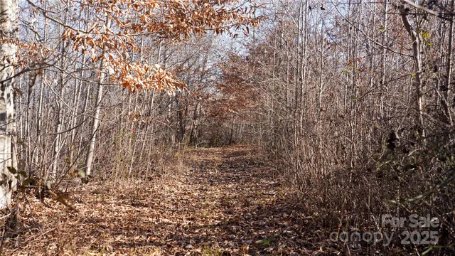 a view of a field with trees