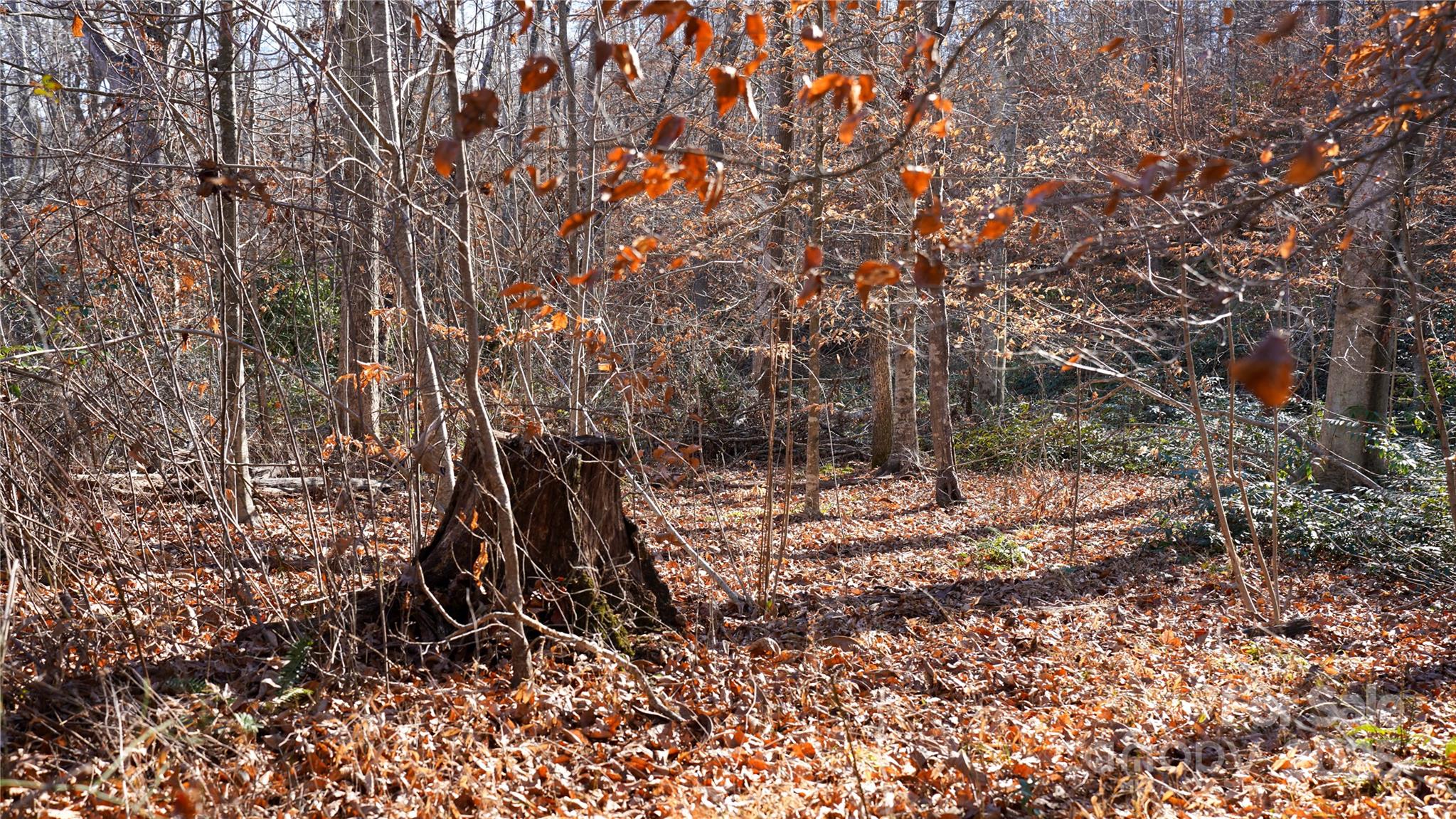 522 Whitworth Road Clover, SC 29710 - Photo 5 of 35 a view of a field with trees