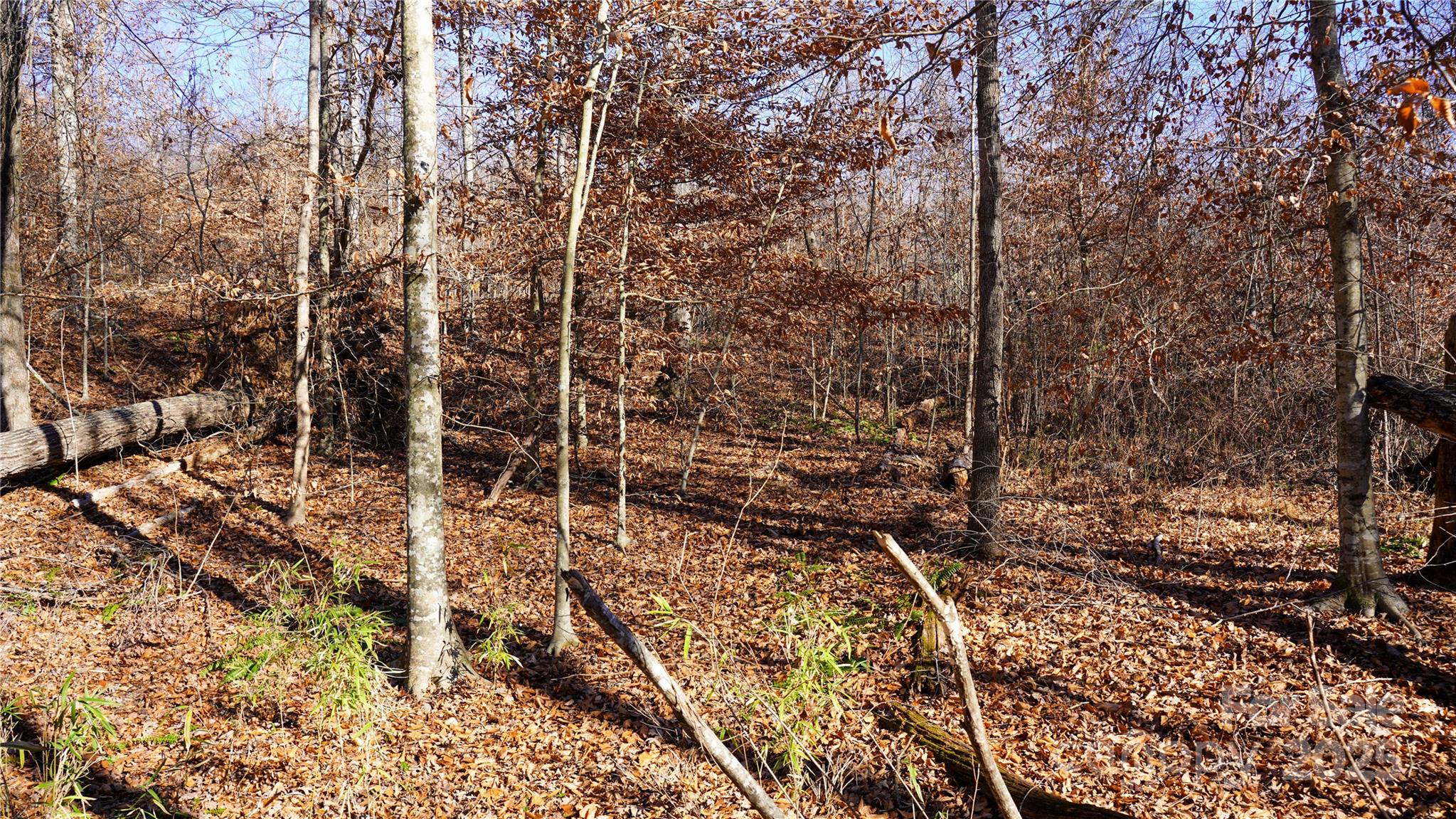 522 Whitworth Road Clover, SC 29710 - Photo 6 of 35