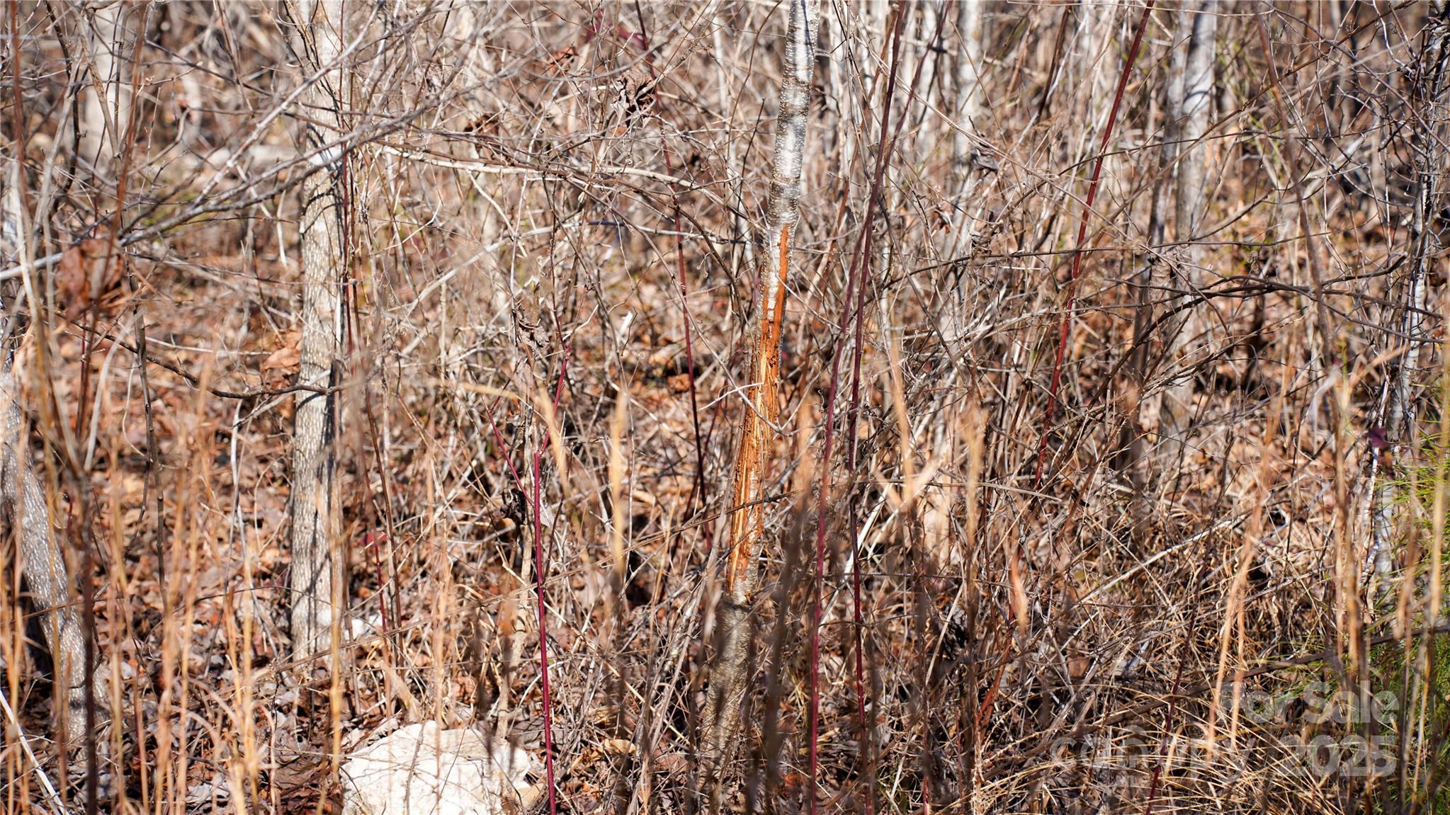 522 Whitworth Road Clover, SC 29710 - Photo 10 of 35 a close up view of wooden wall