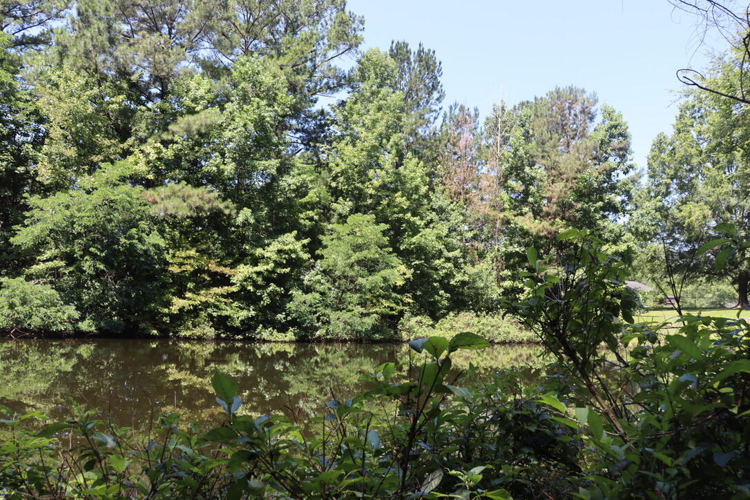 Lot A Camp Creek Road Lancaster, SC 29720 - Photo 3 of 16