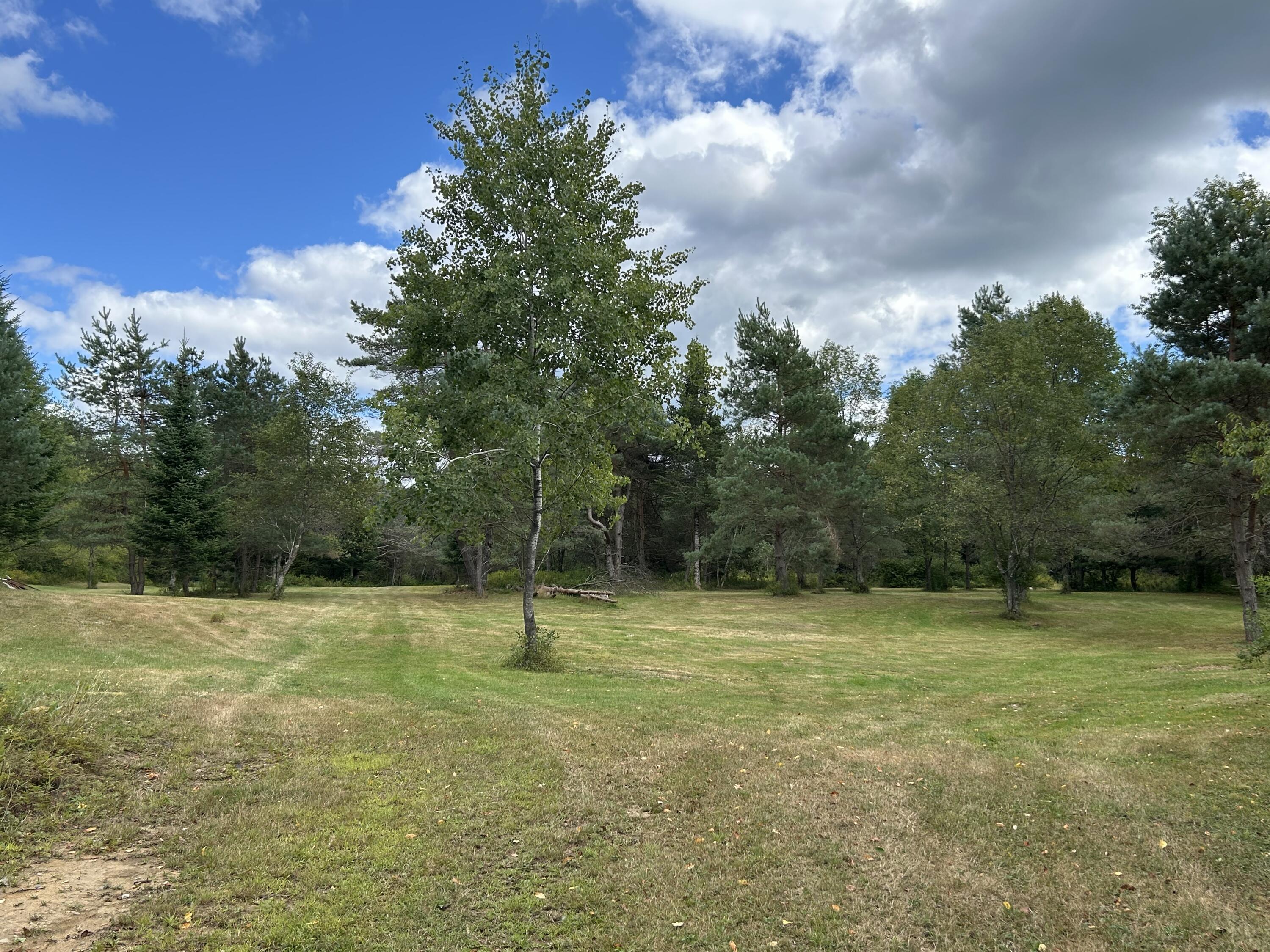 1406 Gray-Wilmurt Road Cold Brook, NY 13324 - Photo 13 of 17 IMG_2616