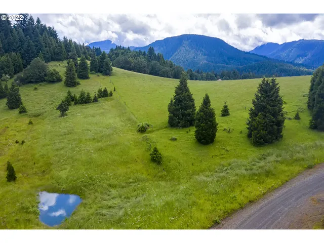 a view of a back yard