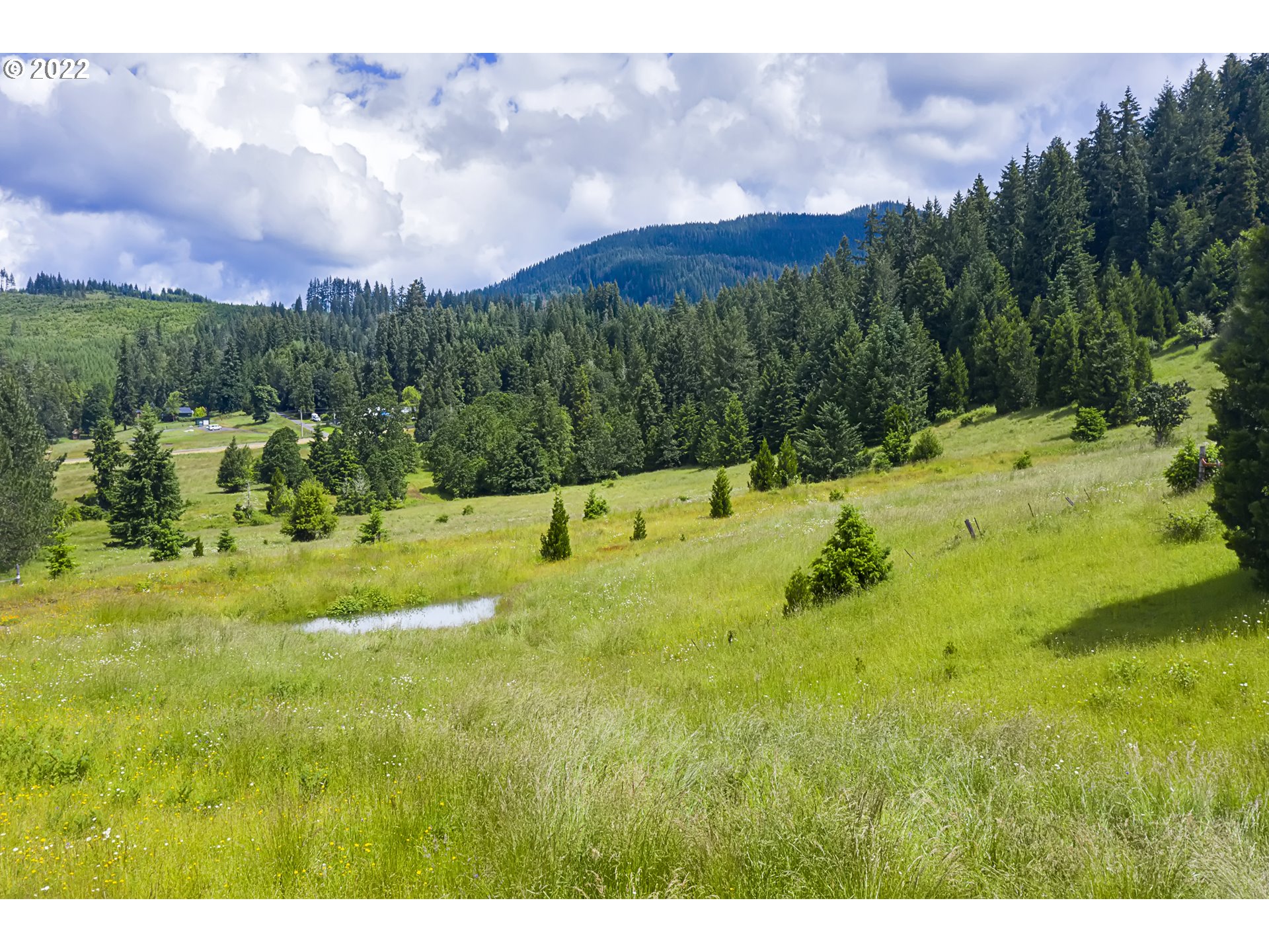 0 Bugle Loop Oakridge, OR 97463 - Photo 7 of 11 a view of a lake with a houses
