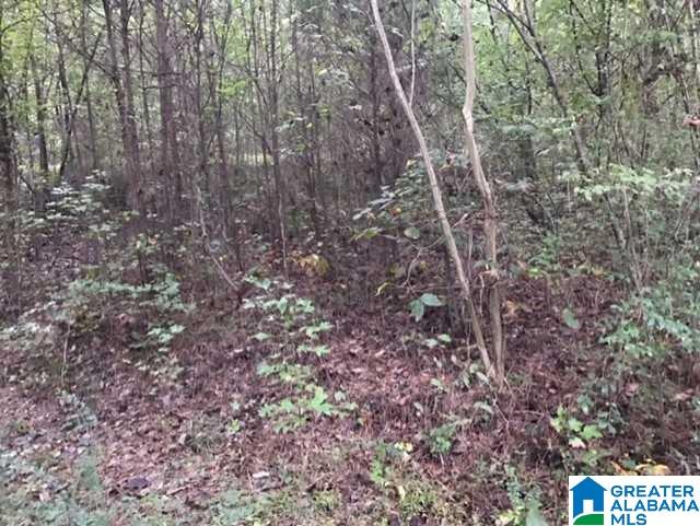 5577 Red Hollow Road, Unit 5 Birmingham, AL 35215 - Photo 1 of 12