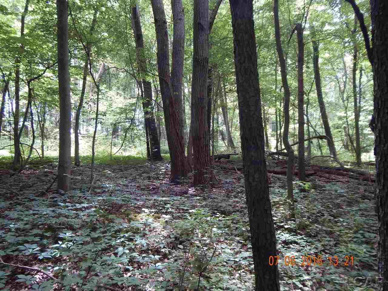 3883 Rogers Road Parma, MI 49269 - Photo 18 of 21