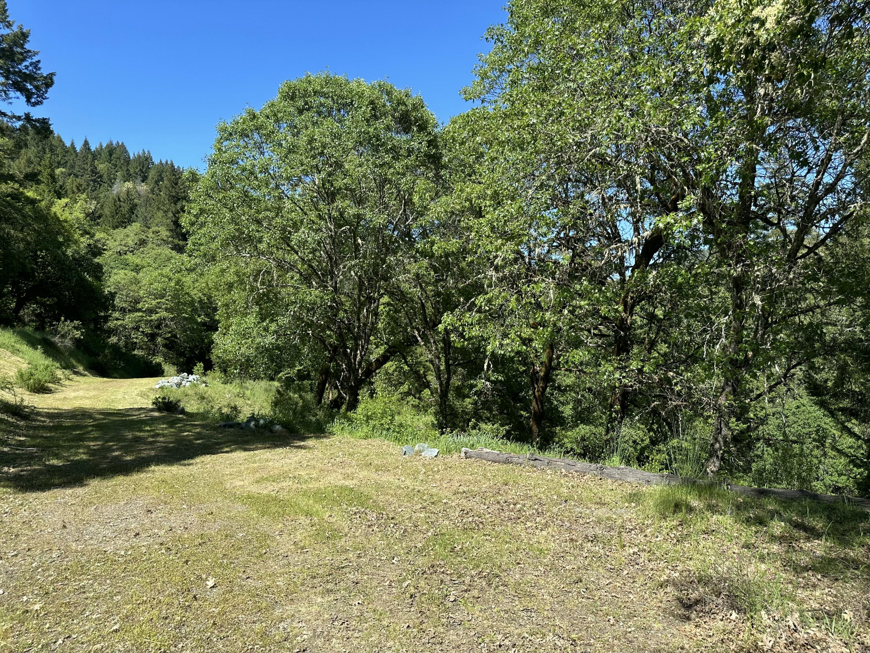 83000 Milstead Road Garberville, CA 95542 - Photo 60 of 67 a view of a yard with a tree