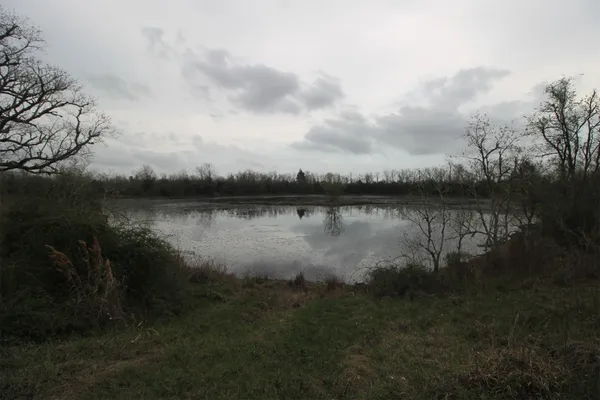 a view of a lake with houses in back
