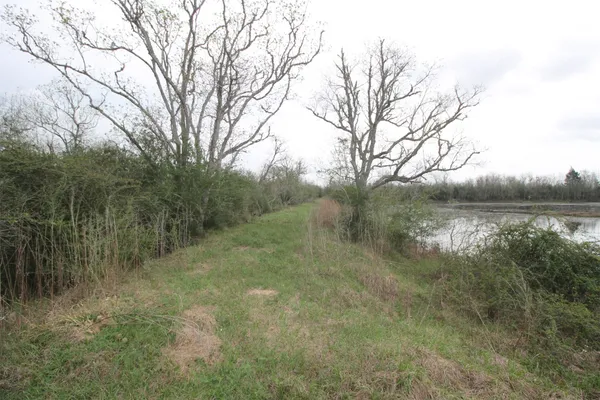 a view of a lake with a yard