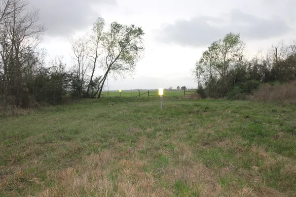 a view of a field with lots of bushes