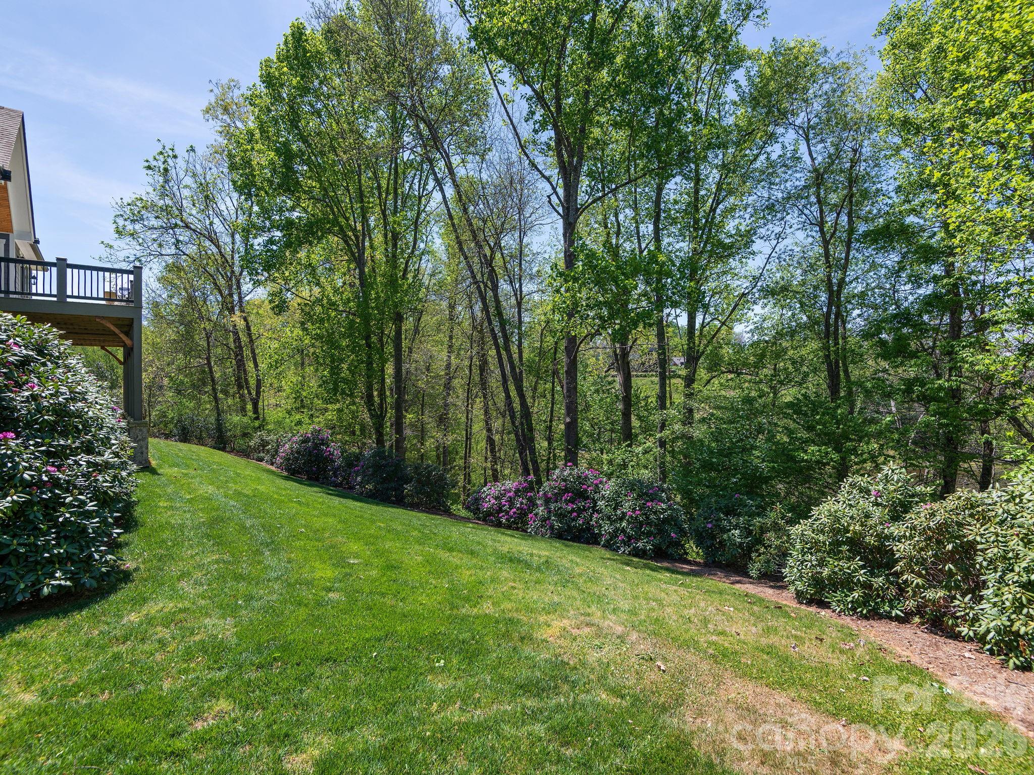 28 Falling Star Court Fletcher, NC 28732 - Photo 26 of 33 a view of a field with plants and trees