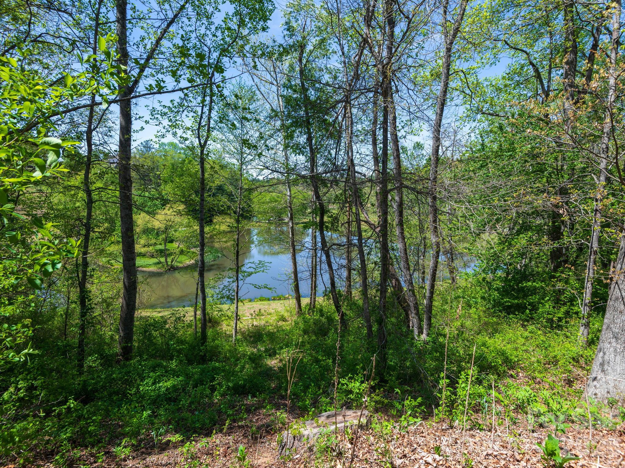 28 Falling Star Court Fletcher, NC 28732 - Photo 27 of 33 a view of outdoor space and yard