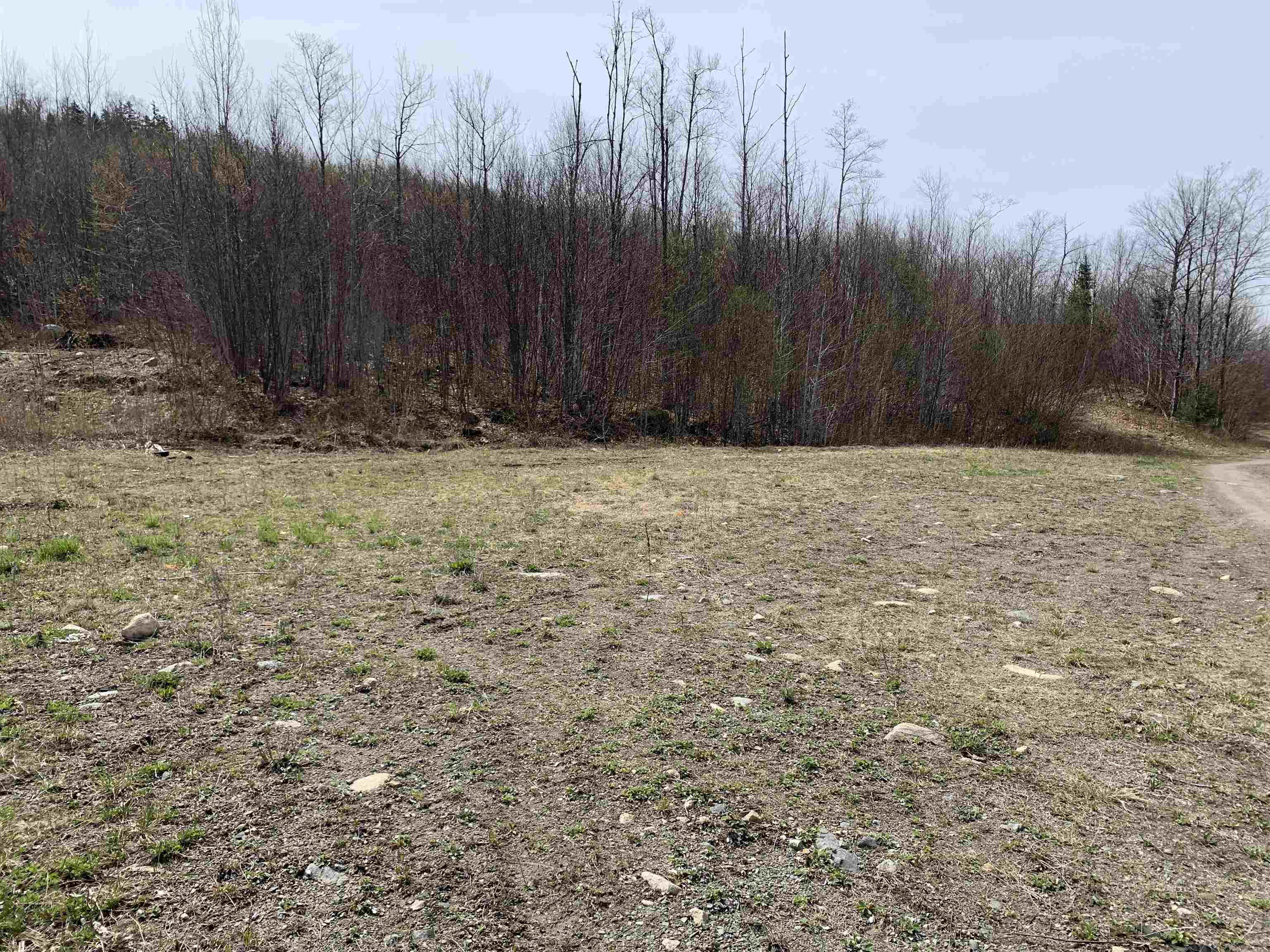 Lot 13 Washburn Road North Stratford, NH 03590 - Photo 2 of 8