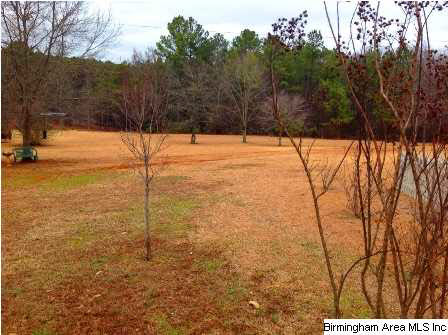 1150 Renfroe Road Talladega, AL 35160 - Photo 24 of 24