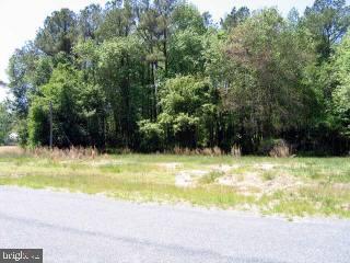 Lot 3 Warren Road Pittsville, MD 21850 - Photo 4 of 5 Gallery Image 4