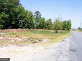 Lot 3 Warren Road Pittsville, MD 21850 - Photo 5 of 5 Gallery Image 5