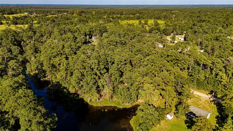 a view of a yard with plants