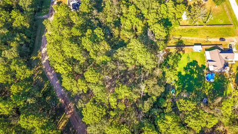 a view of a big yard with plants and large trees