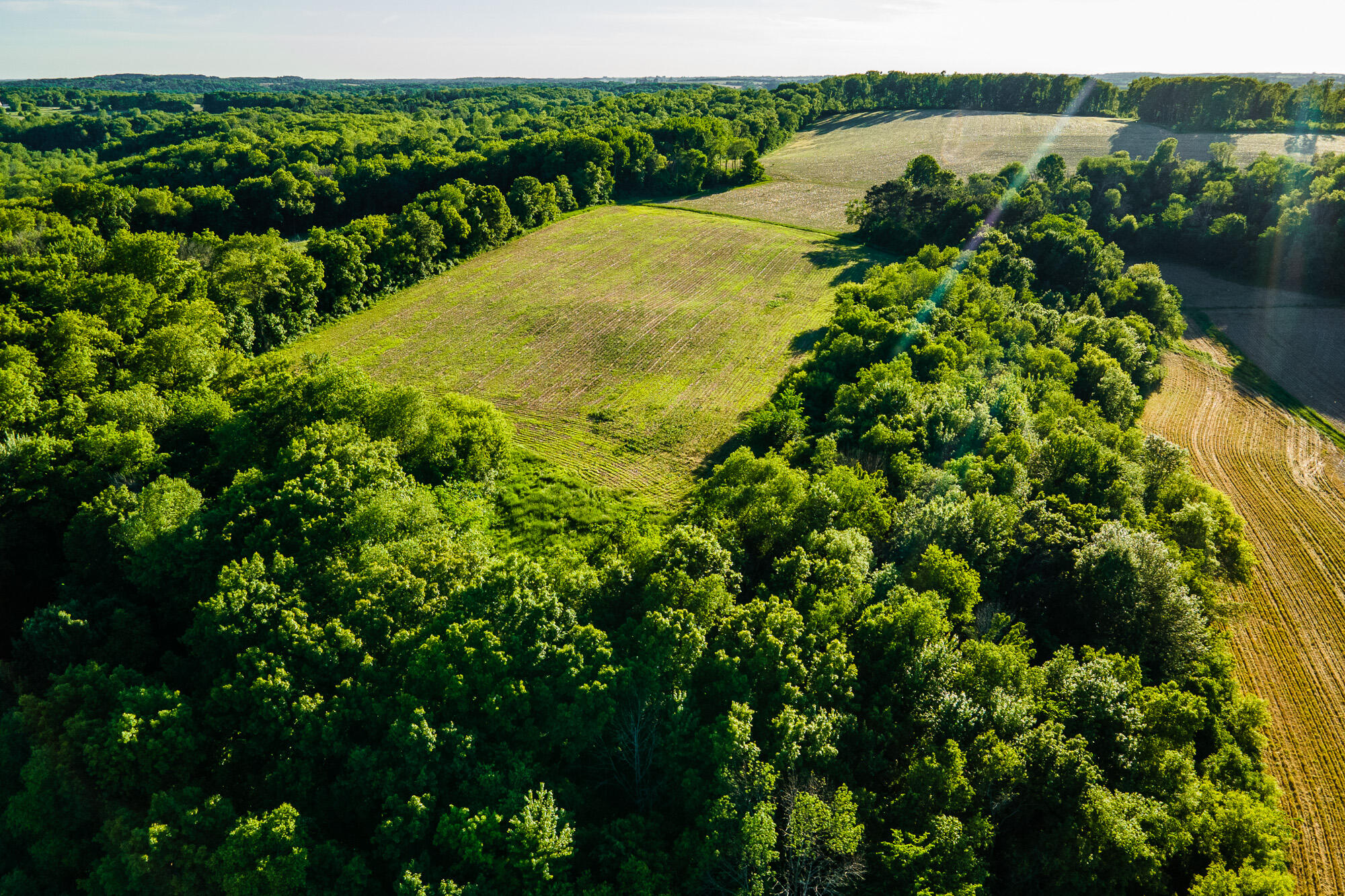 Lt0 Eli Valley Road Hillpoint, WI 53937 - Photo 2 of 29 Sauk-County-WI-17-Acres-Land-For-Sale-Su