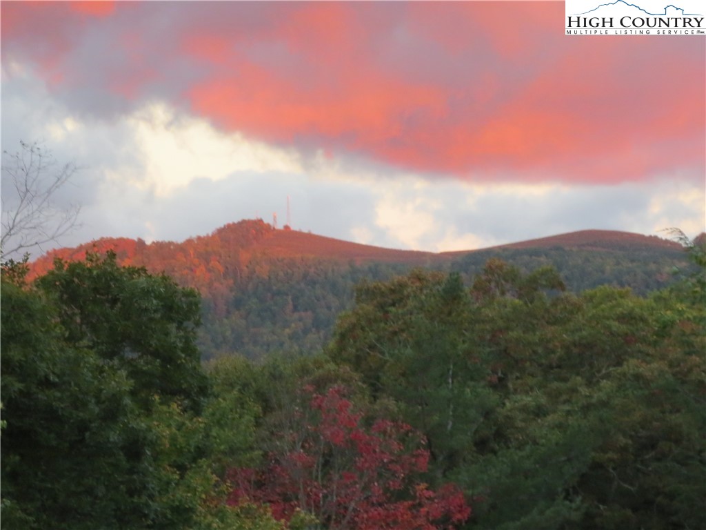 20 Summit Lane Newland, NC 28657 - Photo 6 of 50