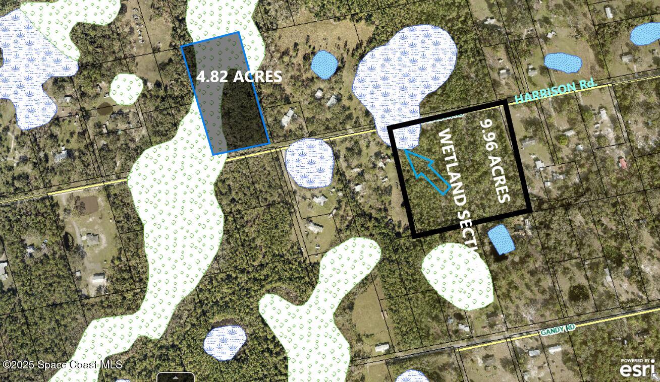 0 Harrison Road Mims, FL 32754 - Photo 4 of 5 Wetland