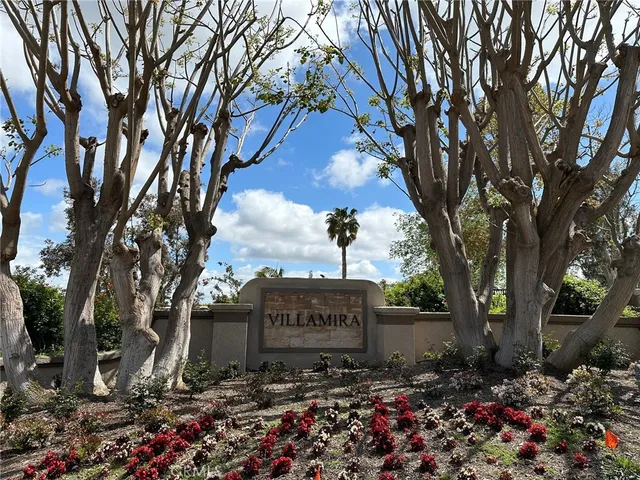 a view of a pathway covered with large trees